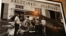 obrázek - Museu dos Baleeiros/ The Whalers' Museum