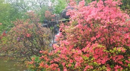 obrázek - さらんべ公園