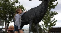 obrázek - Cattlemen's Steakhouse & Lounge