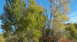 obrázek - FMC Park/Scott's Bottom