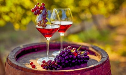 obrázek - Jižní Morava v Penzionu V Zahraničí s