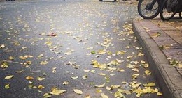 obrázek - 玉林国际购物中心