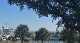 obrázek - Bacchus on the Beach