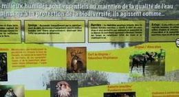 obrázek - Tourbière Chute-Panet