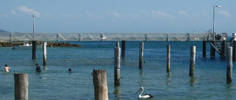 obrázek - Amity Point