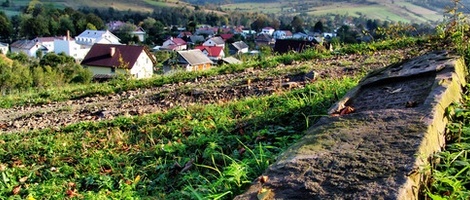 obrázek - Baligród