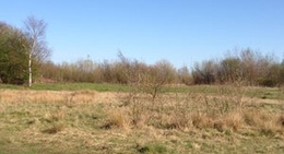 obrázek - Rough Wood Local Nature Reserve