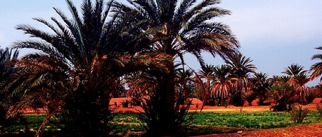 obrázek - Kasr Bounou