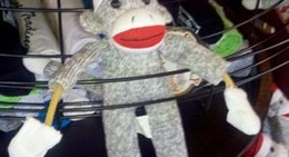 obrázek - Moonshine Trading Post