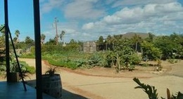 obrázek - Hierbabuena