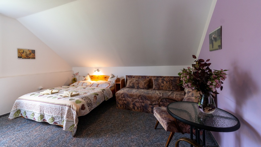 Ubytování u Sýkorů - Pokoj - dvoulůžkový