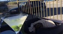 obrázek - Point Turton