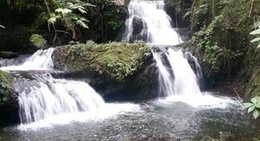 obrázek - Hawaii Tropical Botanical Garden