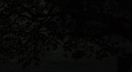 obrázek - หาดเขากะโหลกด้านหลัง