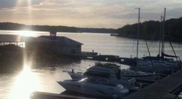 obrázek - Lazy Parrot