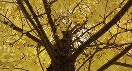 obrázek - Three Hills