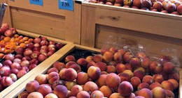 obrázek - Schnucks Swansea Pharmacy