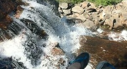 obrázek - Obexers General Store