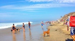 obrázek - Huntington Dog Beach