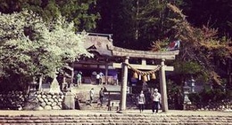 obrázek - 白川八幡神社