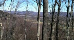 obrázek - Cabin in the sky