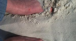 obrázek - Johnson Beach's