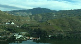 obrázek - Valle Do Douro