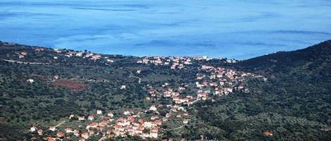 obrázek - Poulithra