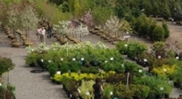 obrázek - Story's Nursery Inc