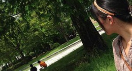 obrázek - 渡辺翁記念公園