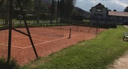 obrázek - TCD (Tennis Club Dallais)