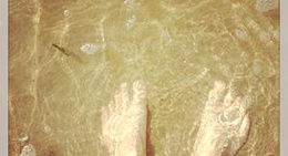 obrázek - Strandslag 14