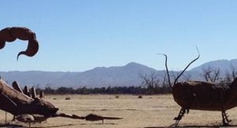 obrázek - Borrego Springs