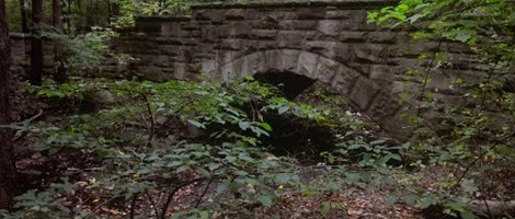 obrázek - Fairview Park