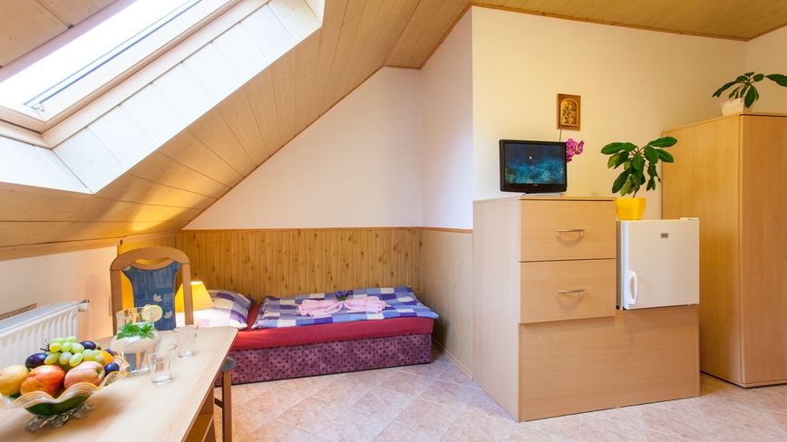 U Studny - Pokoj - TV, lednice, sociální zařízení