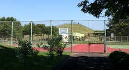 obrázek - 鶴居運動公園テニスコート