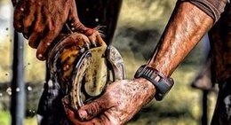 obrázek - Park Orderu Uśmiechu