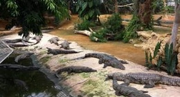 obrázek - La Ferme Aux Crocodiles