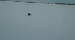 obrázek - Russell, Kansas