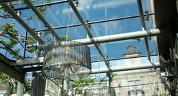 obrázek - De Vijfsprong