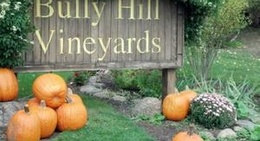 obrázek - Bully Hill Vineyards