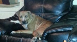 obrázek - East Laurinburg