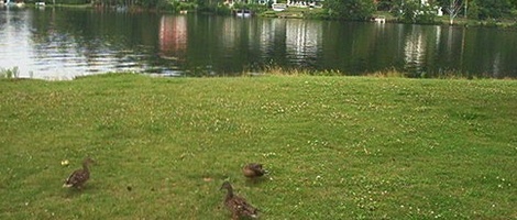 obrázek - Saranac Lake