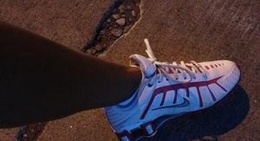 obrázek - Triangle Park