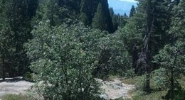 obrázek - Big Stump Picnic Area