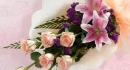 obrázek - Cup E Cafe