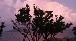 obrázek - Cardwell Lions Park