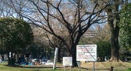 obrázek - 文化の森公園 (宮崎中央公園)