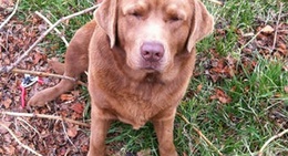 obrázek - Robinvale Golf Club