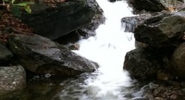 obrázek - Lehigh Gorge S.P. Trail - Glen Onoko Access